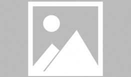 逆水寒手游鹿车最新爆料,华丽外观与神秘功能揭秘